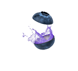 Golisoda USA blueberry - Premium Indian Marble Soda Ingredient