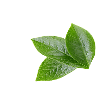 Buy Golisoda blueberry USA - Authentic Goli Soda Flavor