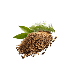 Golisoda USA jeera - Premium Indian Marble Soda Ingredient