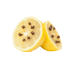 Golisoda USA lemonmasala - Premium Indian Marble Soda Ingredient