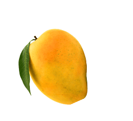 Golisoda USA mango - Premium Indian Marble Soda Ingredient