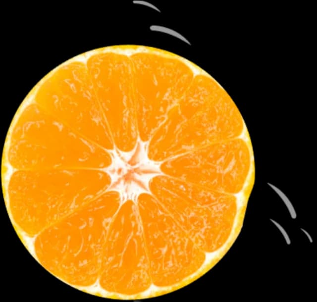 Golisoda USA Orange Slice - Fresh Citrus Marble Soda Flavor