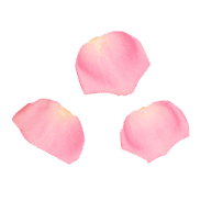 Gulpp rose Golisoda - Indian Marble Soda in America