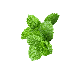 Golisoda USA virginmojito - Premium Indian Marble Soda Ingredient