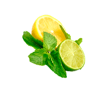 Gulpp virginmojito Golisoda - Indian Marble Soda in America